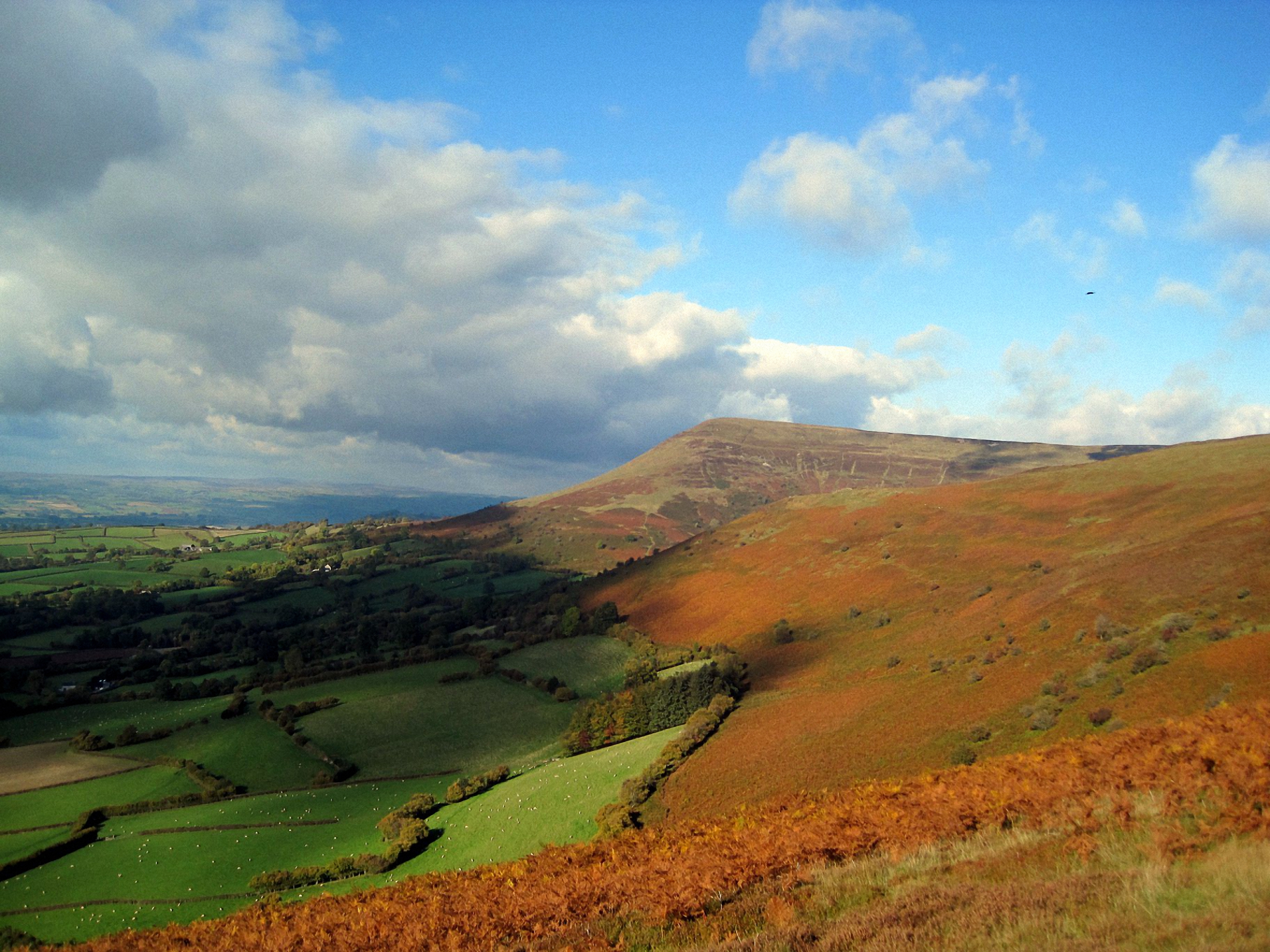Mynydd Llangorse in Friday afternoon sun, Photo by Marian Parsons